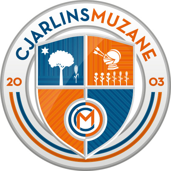 Associazione Sportiva Dilettantistica Cjarlins Muzane
